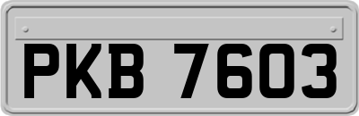 PKB7603
