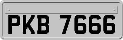 PKB7666
