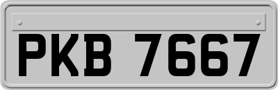 PKB7667