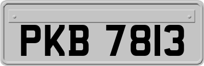PKB7813