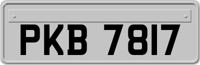 PKB7817
