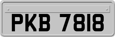 PKB7818