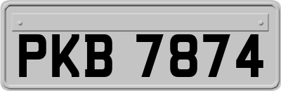 PKB7874