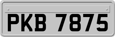 PKB7875