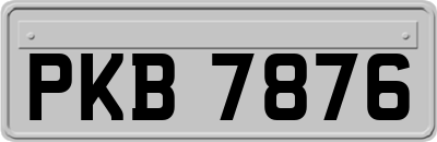 PKB7876