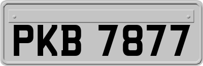 PKB7877