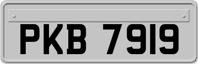 PKB7919