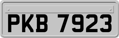 PKB7923
