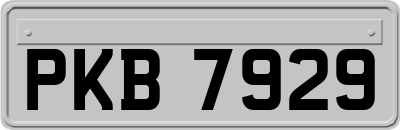 PKB7929