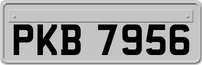 PKB7956