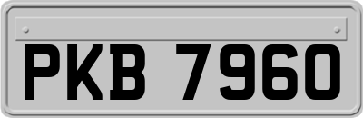 PKB7960