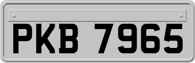 PKB7965