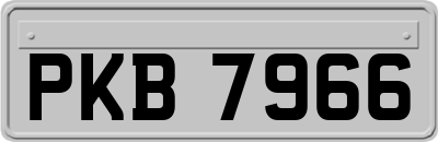 PKB7966