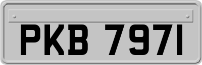 PKB7971