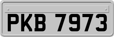 PKB7973