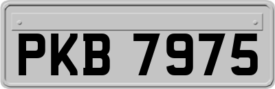 PKB7975