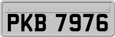PKB7976