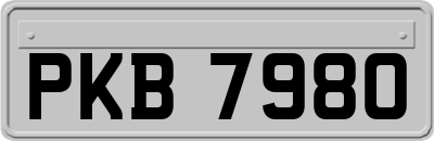 PKB7980