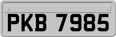 PKB7985