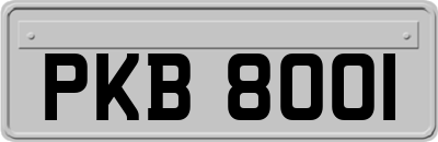 PKB8001