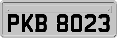 PKB8023