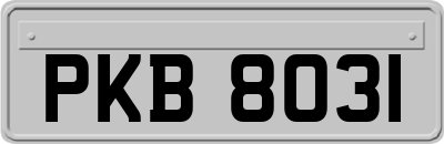 PKB8031