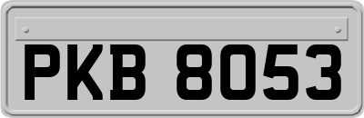 PKB8053