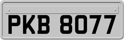 PKB8077