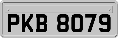 PKB8079