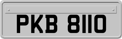 PKB8110