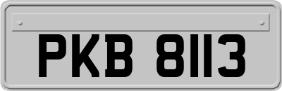 PKB8113
