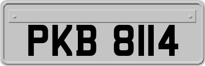 PKB8114