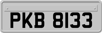 PKB8133