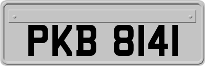 PKB8141