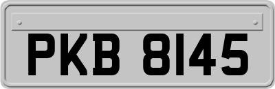 PKB8145