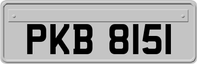 PKB8151