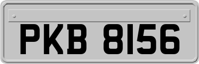 PKB8156