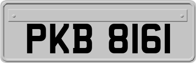PKB8161