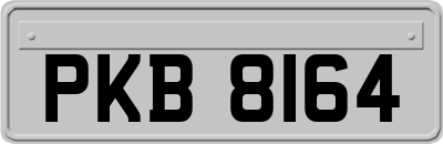 PKB8164