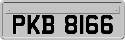 PKB8166