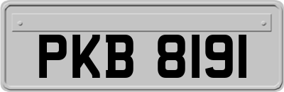 PKB8191