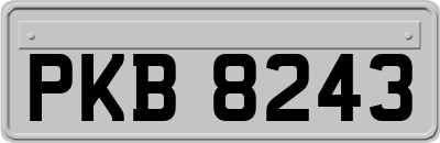 PKB8243