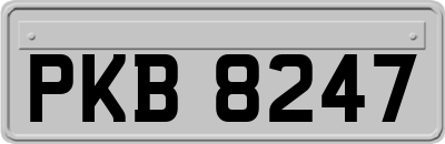 PKB8247