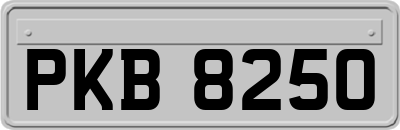 PKB8250