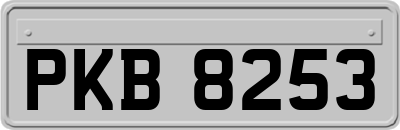 PKB8253