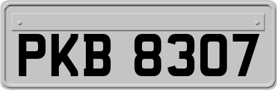PKB8307
