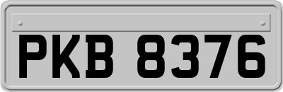 PKB8376