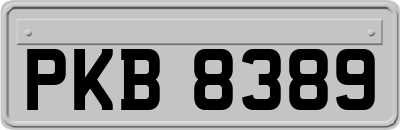 PKB8389