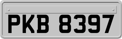 PKB8397