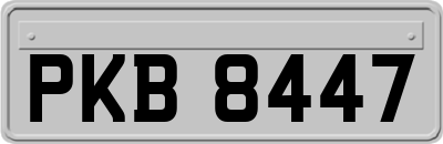 PKB8447